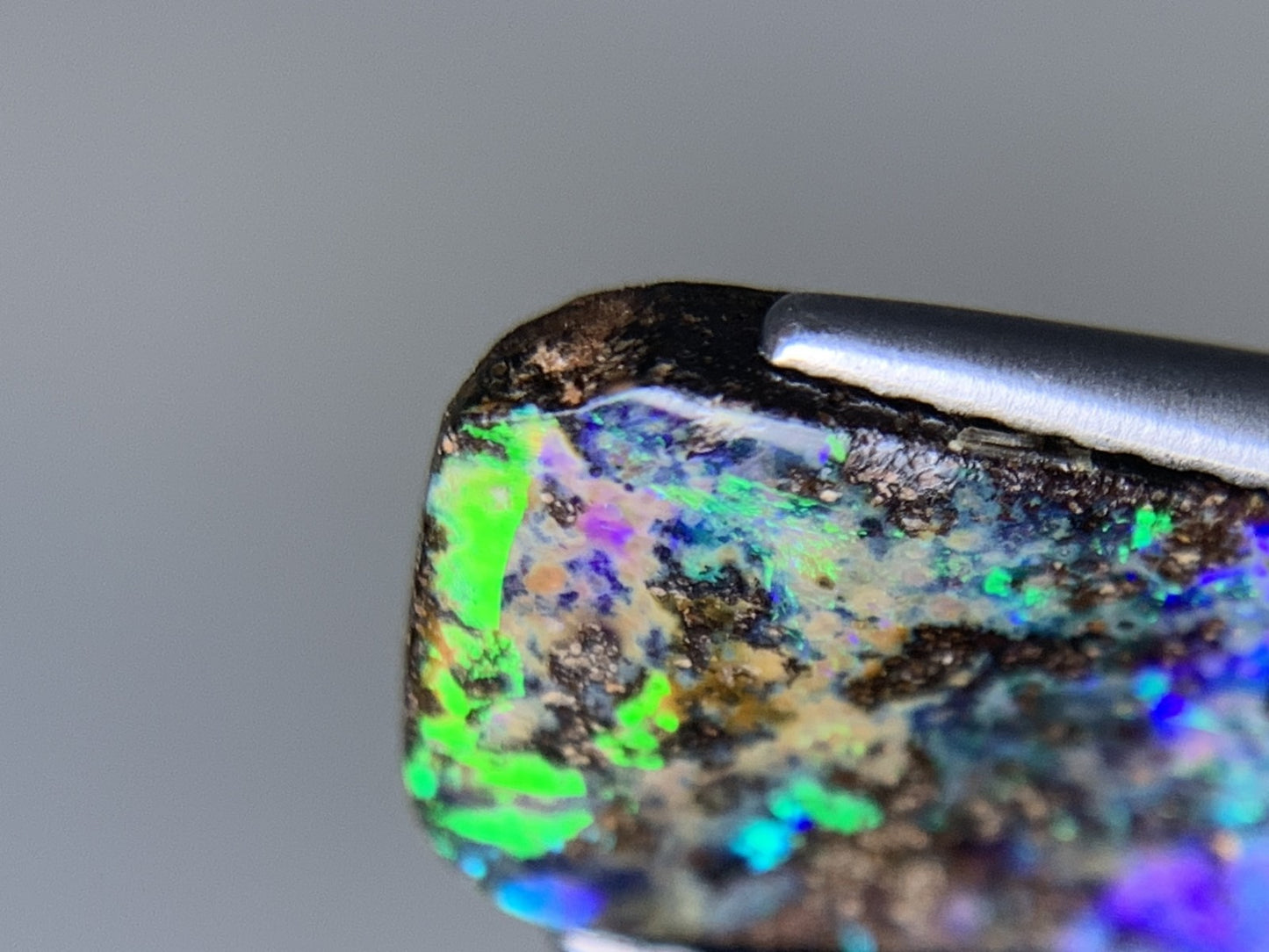 ボルダーオパール 天然 6.313ct 宝石ソーティング付き 20.7㎜×9.8㎜×4.0㎜ ルース（ 裸石 ） 7502Y