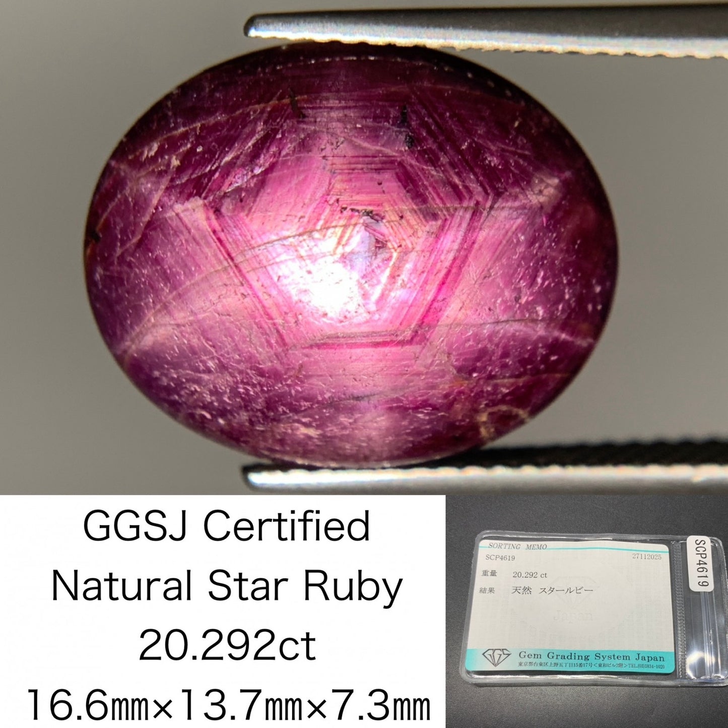 スタールビー 天然 20.292ct 宝石ソーティング付き 16.6㎜×13.7㎜×7.3㎜ ルース（ 裸石 ） 7505Y