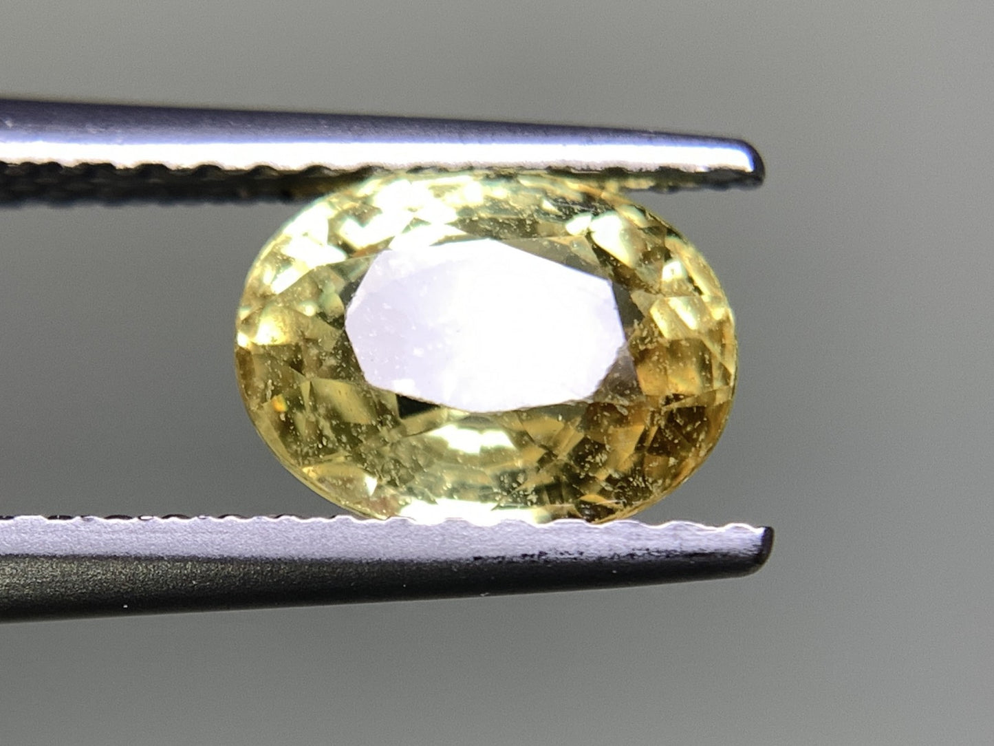 イエローサファイア 1.76ct 宝石ソーティング付き  7.8㎜×6.1㎜×3.9㎜   ルース（ 裸石 ） 2273Y