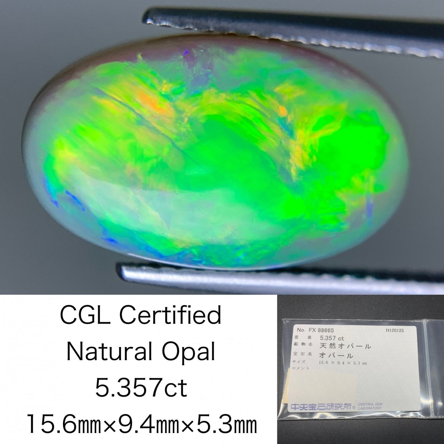 オパール 天然 5.357ct 中央宝石ソーティング付き 15.6㎜×9.4㎜×5.3㎜ ルース（ 裸石 ） 7538Y