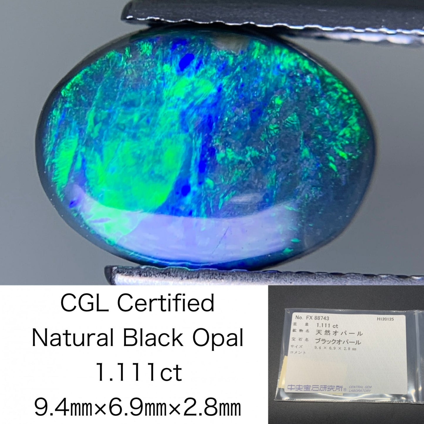 ブラックオパール 天然 1.111ct 中央宝石ソーティング付き 9.4㎜×6.9㎜×2.8㎜ ルース（ 裸石 ） 7559Y