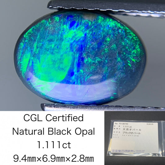 ブラックオパール 天然 1.111ct 中央宝石ソーティング付き 9.4㎜×6.9㎜×2.8㎜ ルース（ 裸石 ） 7559Y