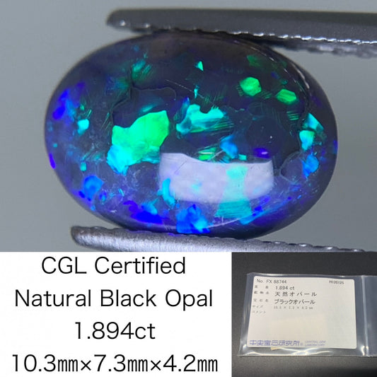 ブラックオパール 天然 1.894ct 中央宝石ソーティング付き 10.3㎜×7.3㎜×4.2㎜ ルース（ 裸石 ） 7539Y