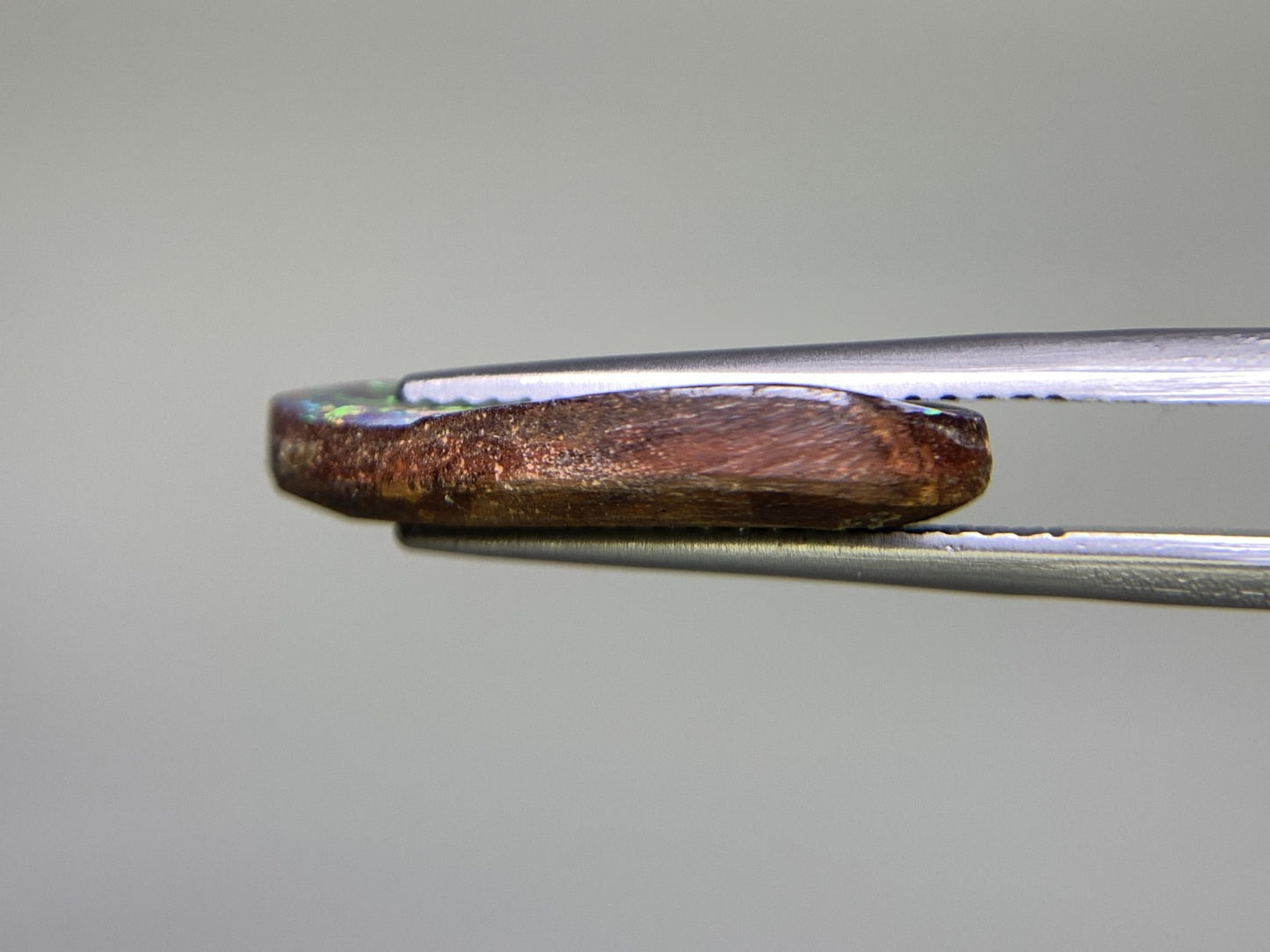ボルダーオパール 5.293ct 宝石ソーティング付き  18.8㎜×8.9㎜×3.5㎜   ルース（ 裸石 ） 2360Y