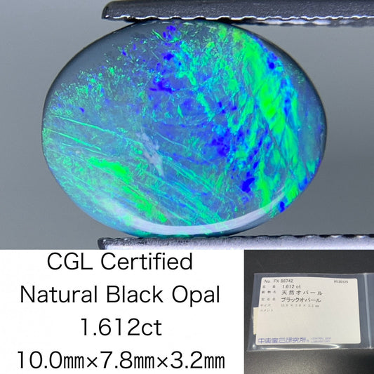ブラックオパール 天然 1.612ct 中央宝石ソーティング付き 10.0㎜×7.8㎜×3.2㎜ ルース（ 裸石 ） 7534Y