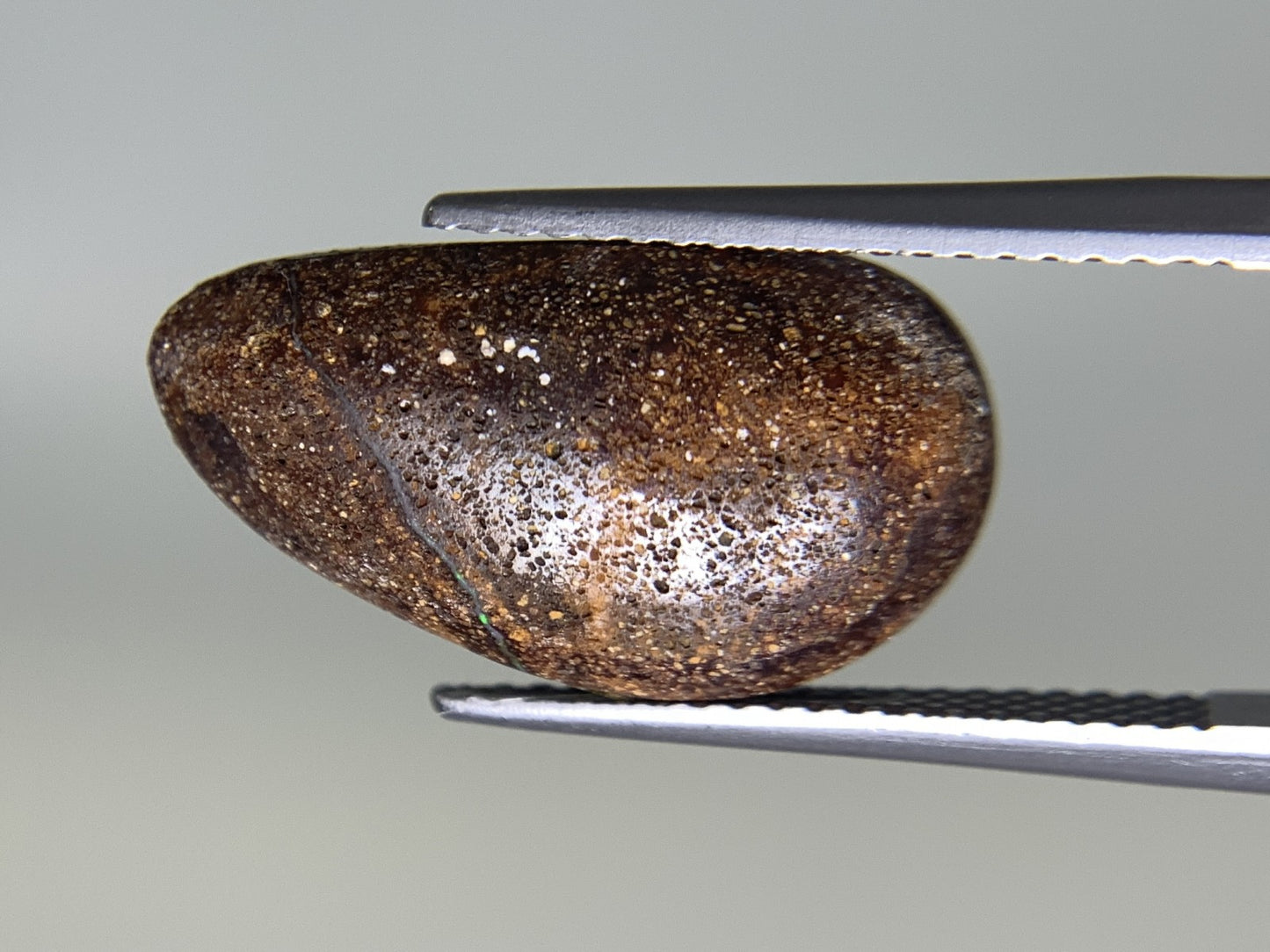 ボルダーオパール 4.876ct 宝石ソーティング付き  18.3㎜×10.1㎜×3.7㎜   ルース（ 裸石 ） 2361Y