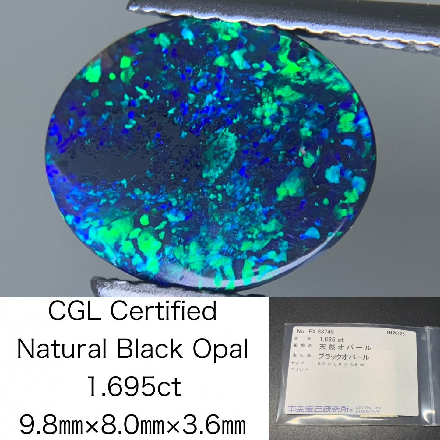 ブラックオパール 天然 1.695ct 中央宝石ソーティング付き 9.8㎜×8.0㎜×3.6㎜ ルース（ 裸石 ） 7514Y
