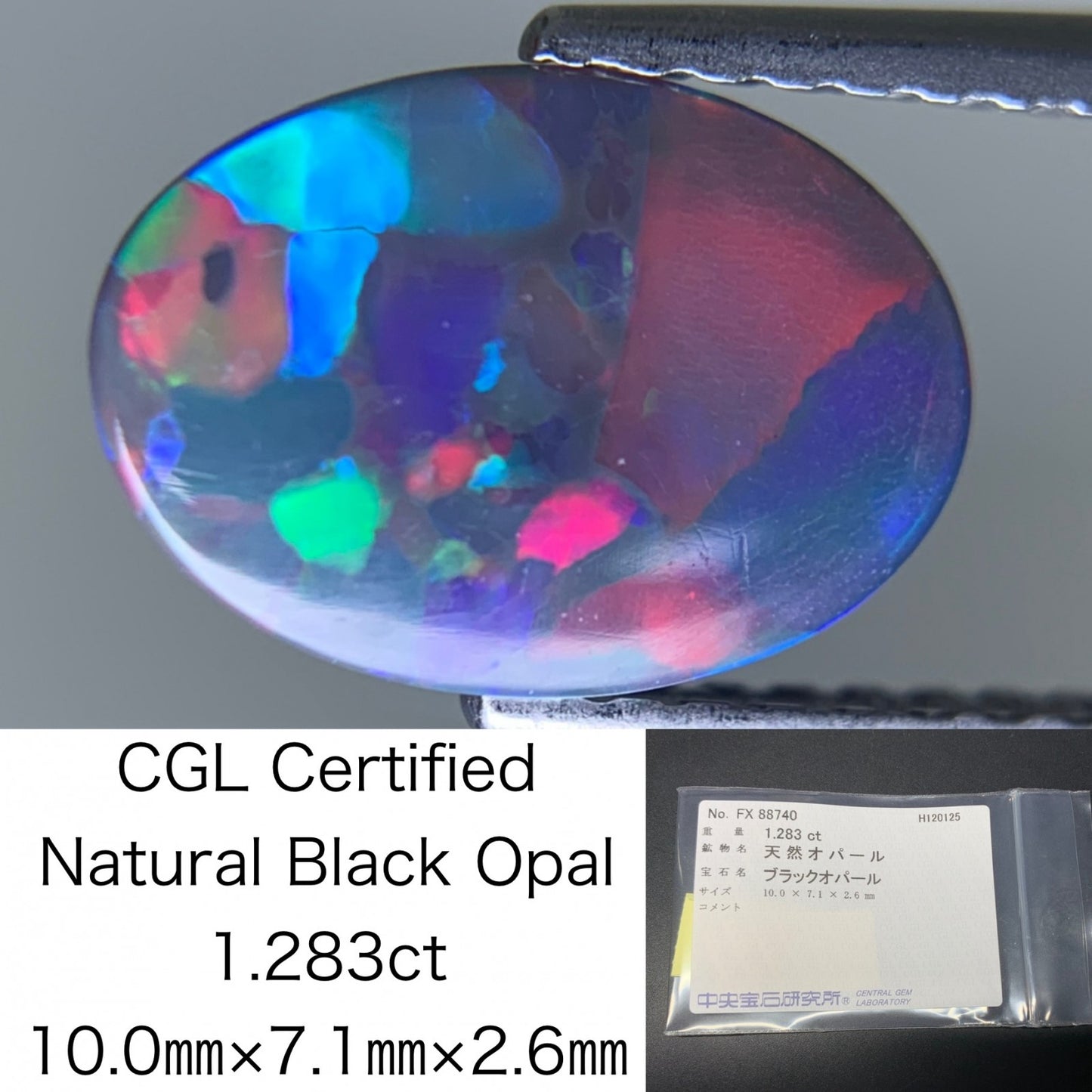 ブラックオパール 天然 1.283ct 中央宝石ソーティング付き 10.0㎜×7.1㎜×2.6㎜ ルース（ 裸石 ） 7526Y