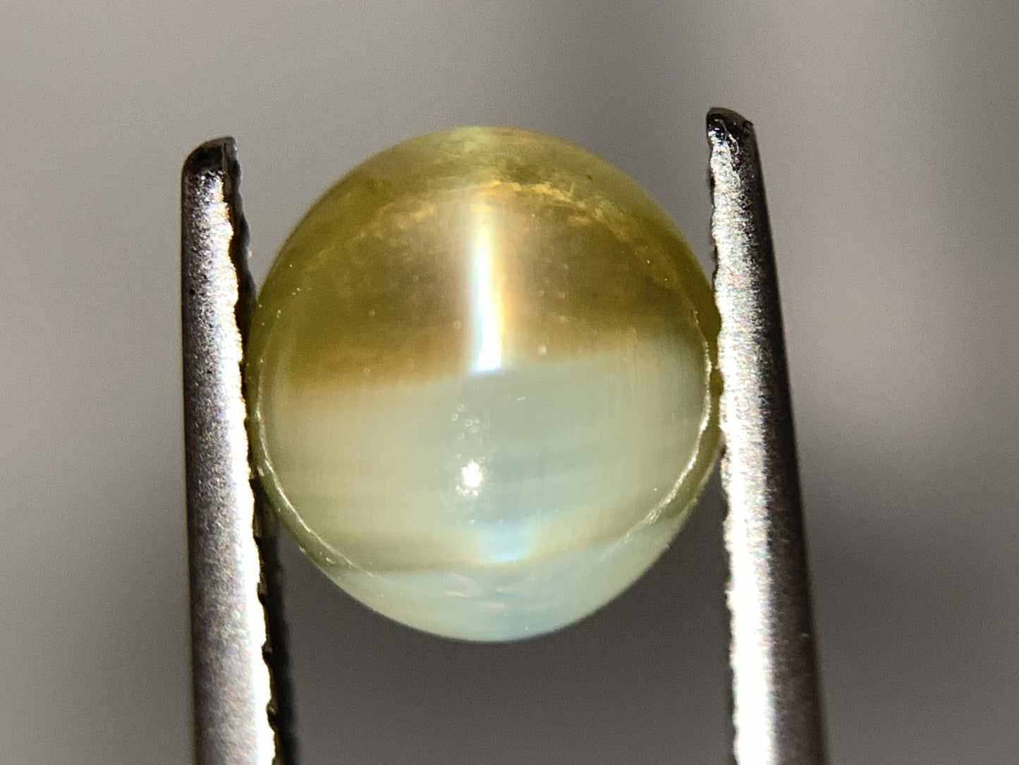 クリソベリルキャッツアイ 天然 1.749ct 宝石ソーティング付き 7.2㎜×6.7㎜×3.6㎜ ルース（ 裸石 ） 6729Y