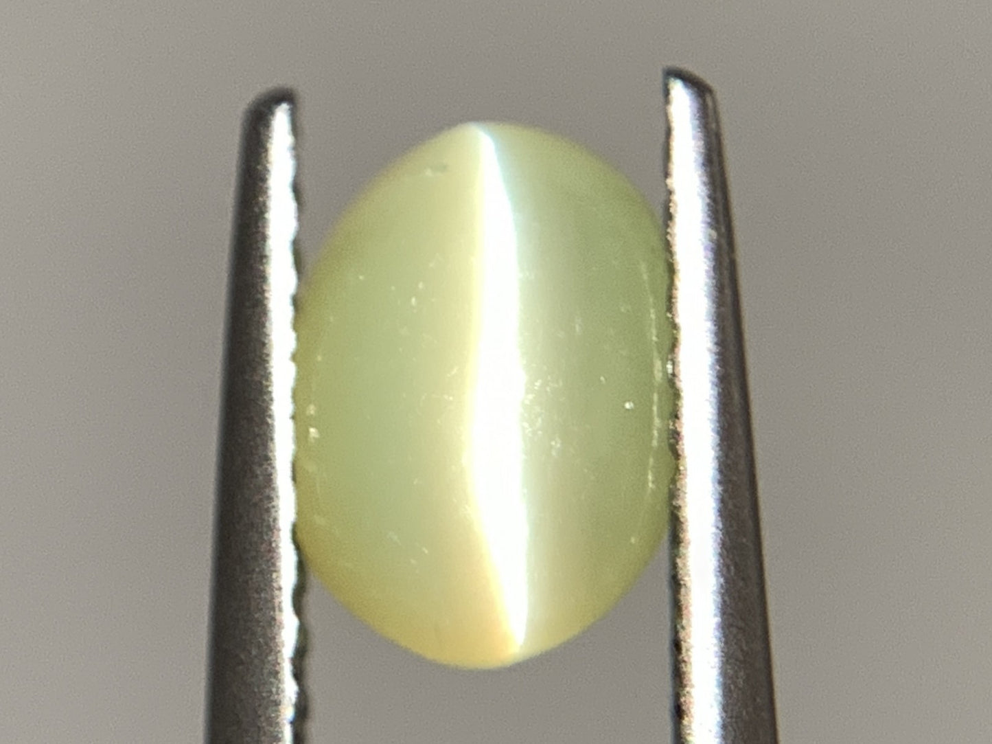 クリソベリルキャッツアイ 天然 1.653ct 宝石ソーティング付き 7.3㎜×5.1㎜×4.3㎜ ルース（ 裸石 ） 6753Y