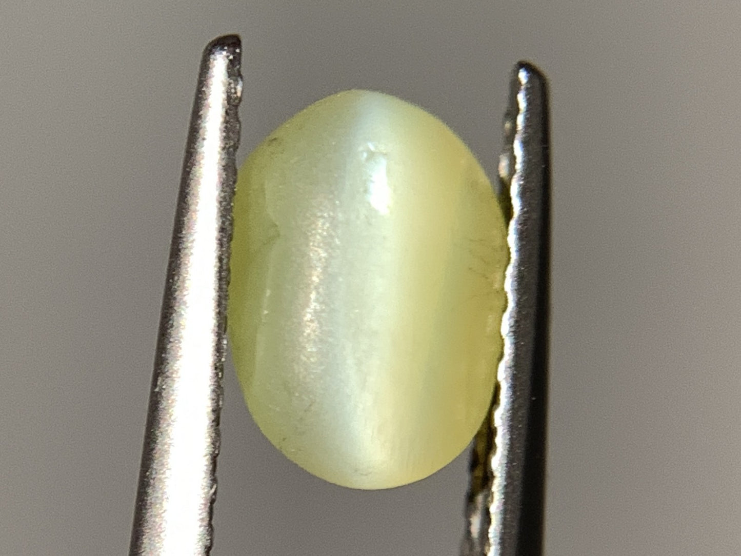 クリソベリルキャッツアイ 天然 1.653ct 宝石ソーティング付き 7.3㎜×5.1㎜×4.3㎜ ルース（ 裸石 ） 6753Y