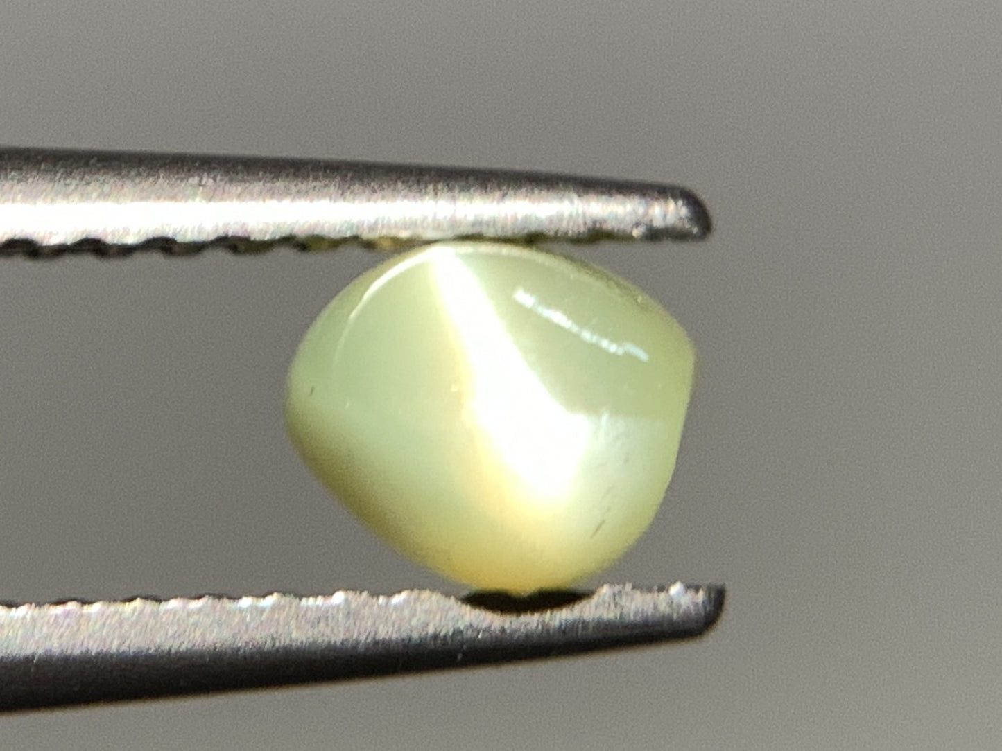 クリソベリルキャッツアイ 天然 1.653ct 宝石ソーティング付き 7.3㎜×5.1㎜×4.3㎜ ルース（ 裸石 ） 6753Y