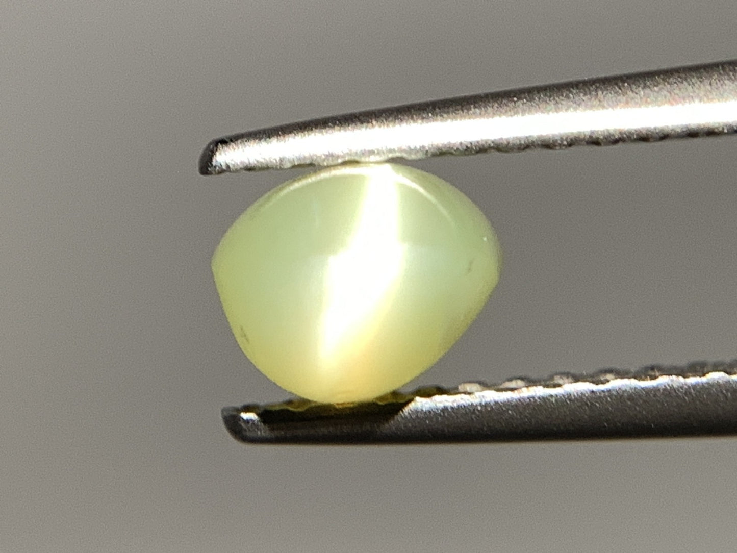 クリソベリルキャッツアイ 天然 1.653ct 宝石ソーティング付き 7.3㎜×5.1㎜×4.3㎜ ルース（ 裸石 ） 6753Y