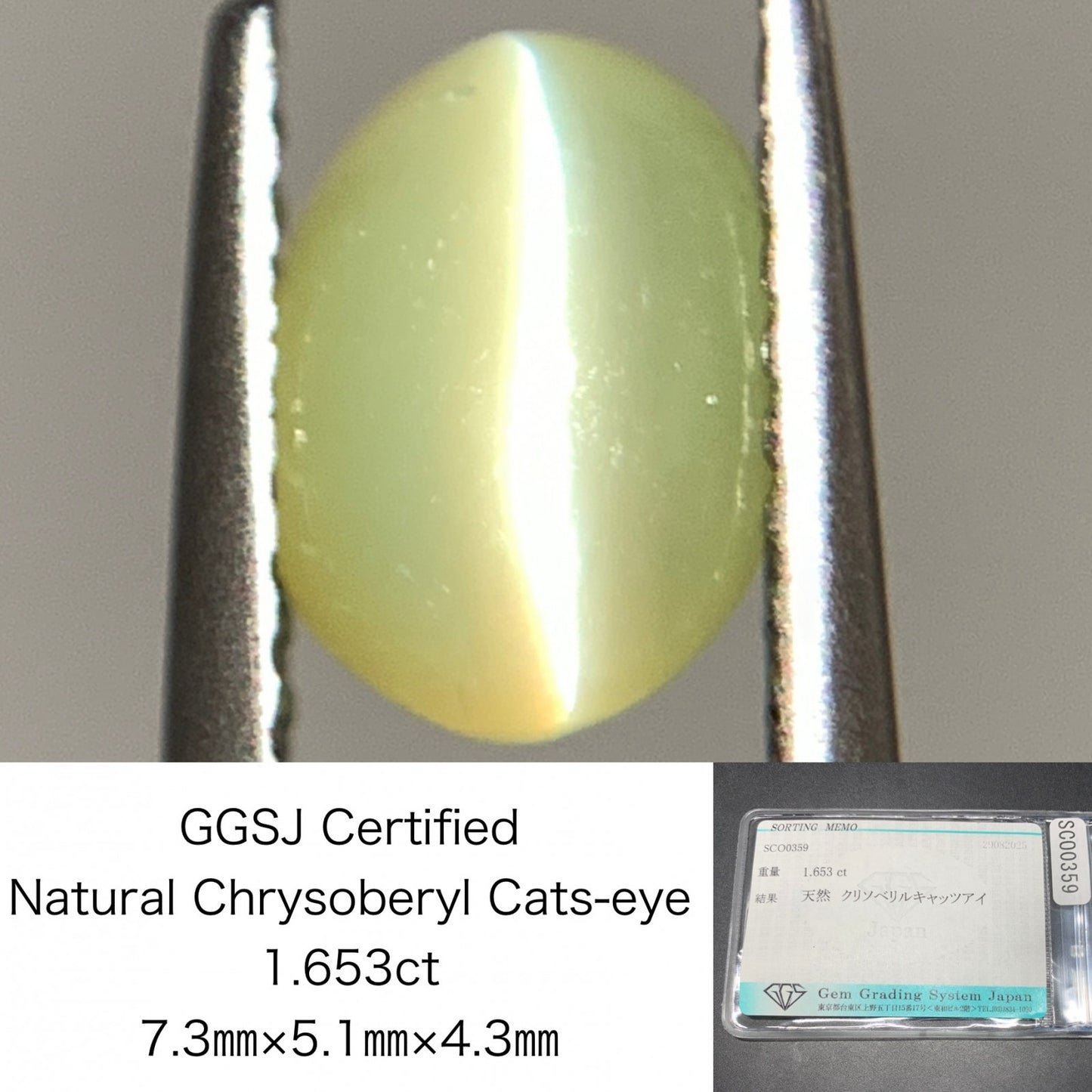 クリソベリルキャッツアイ 天然 1.653ct 宝石ソーティング付き 7.3㎜×5.1㎜×4.3㎜ ルース（ 裸石 ） 6753Y