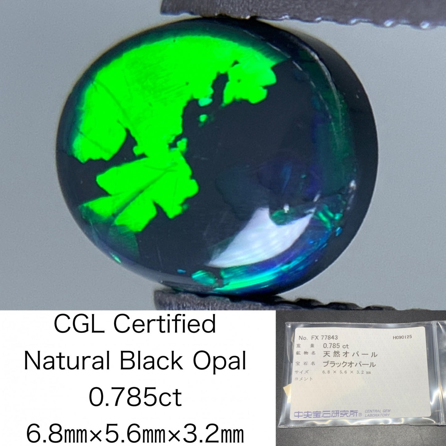 ブラックオパール 天然 0.785ct 中央宝石ソーティング付き 6.8㎜×5.6㎜×3.2㎜ ルース（ 裸石 ） 6642Y