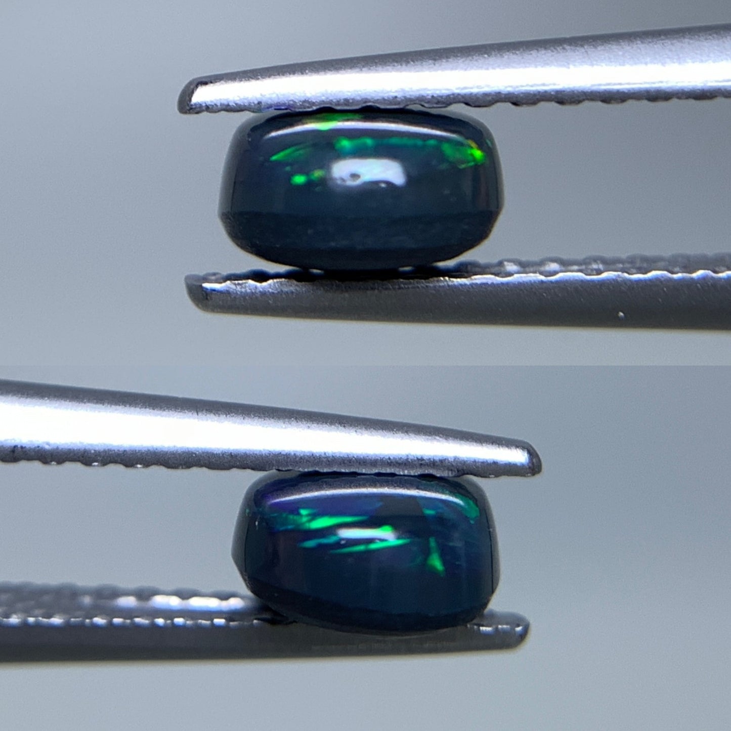 ブラックオパール 天然 0.785ct 中央宝石ソーティング付き 6.8㎜×5.6㎜×3.2㎜ ルース（ 裸石 ） 6642Y