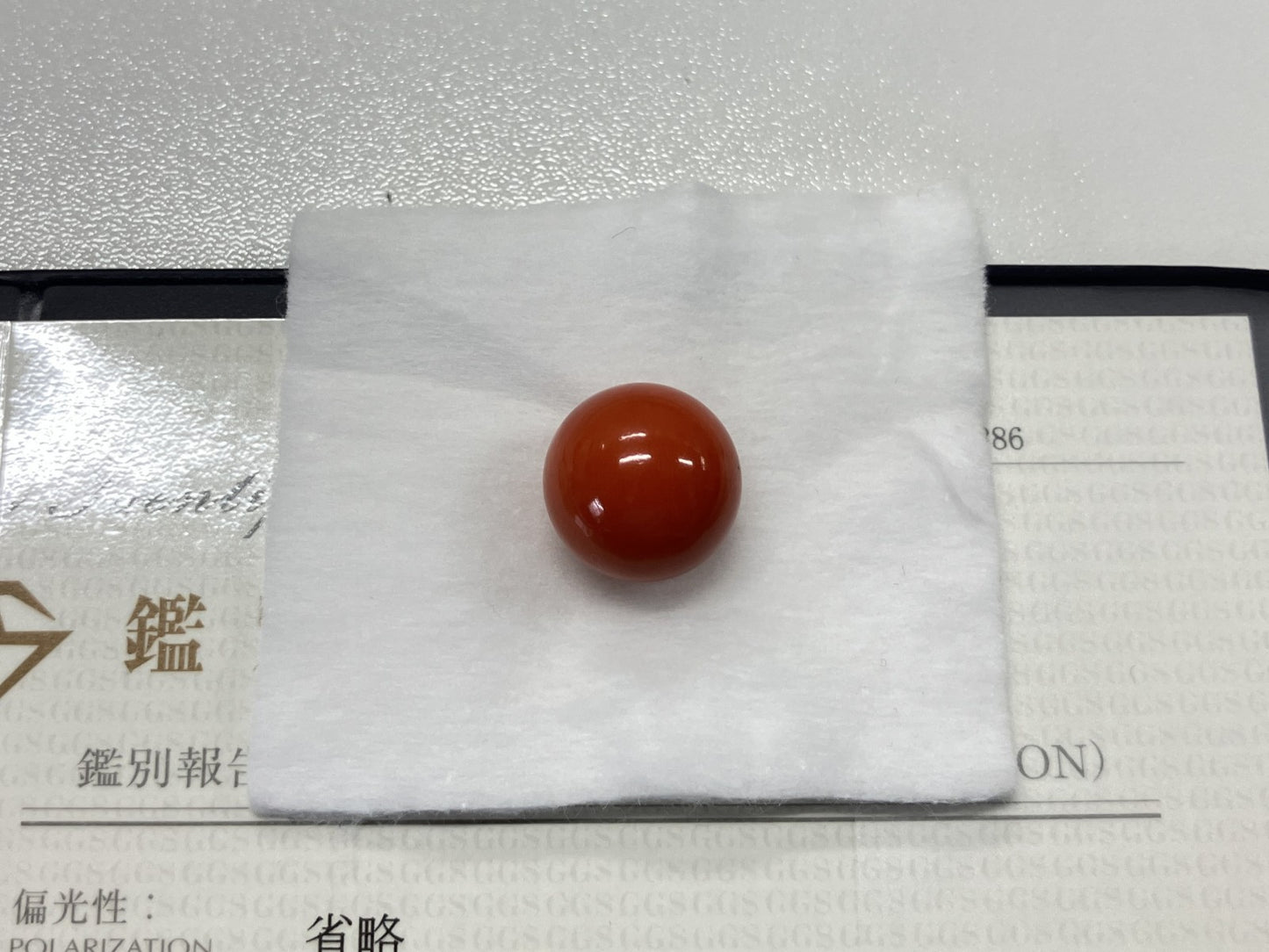 サンゴ　赤珊瑚　27.21ct 宝石鑑別書付き 15.7㎜ ルース（ 裸石 ） 4469S