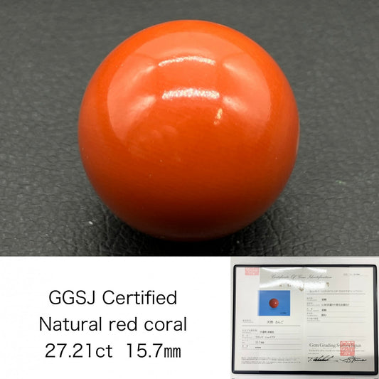 サンゴ　赤珊瑚　27.21ct 宝石鑑別書付き 15.7㎜ ルース（ 裸石 ） 4469S