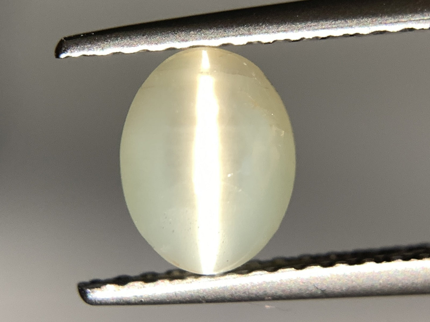 クリソベリルキャッツアイ 天然  1.472ct  宝石ソーティング付き  7.0㎜×5.4㎜×3.8㎜ ルース（ 裸石 ）  5847Y