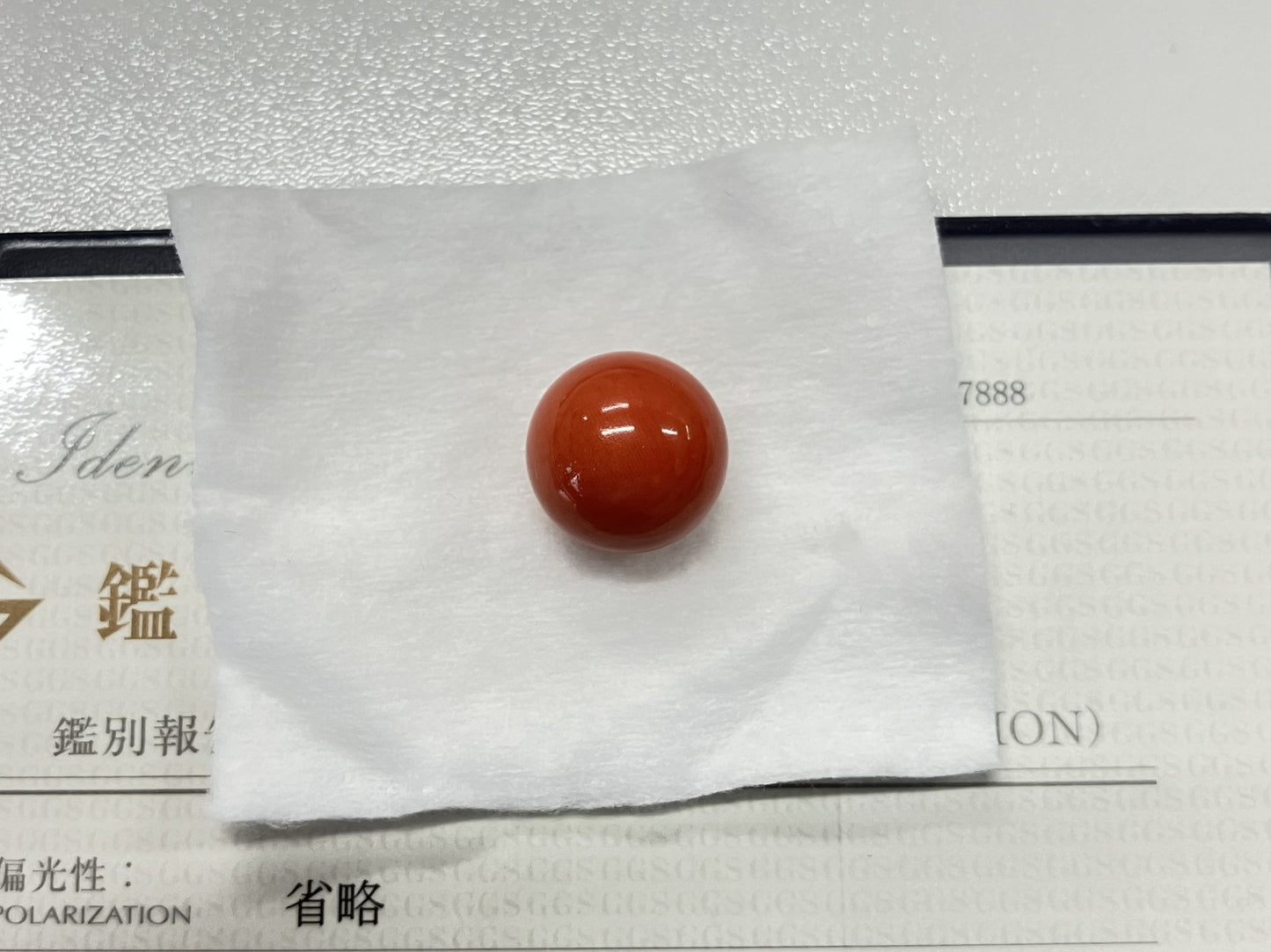 サンゴ　赤珊瑚 25.74ct 宝石鑑別書付き 15.4㎜ ルース（ 裸石 ） 4468S