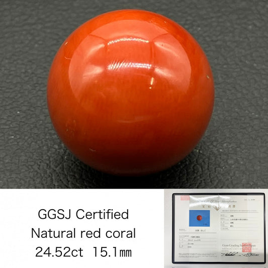 サンゴ　赤珊瑚 24.52ct 宝石鑑別書付き 15.1㎜ ルース（ 裸石 ） 4473S