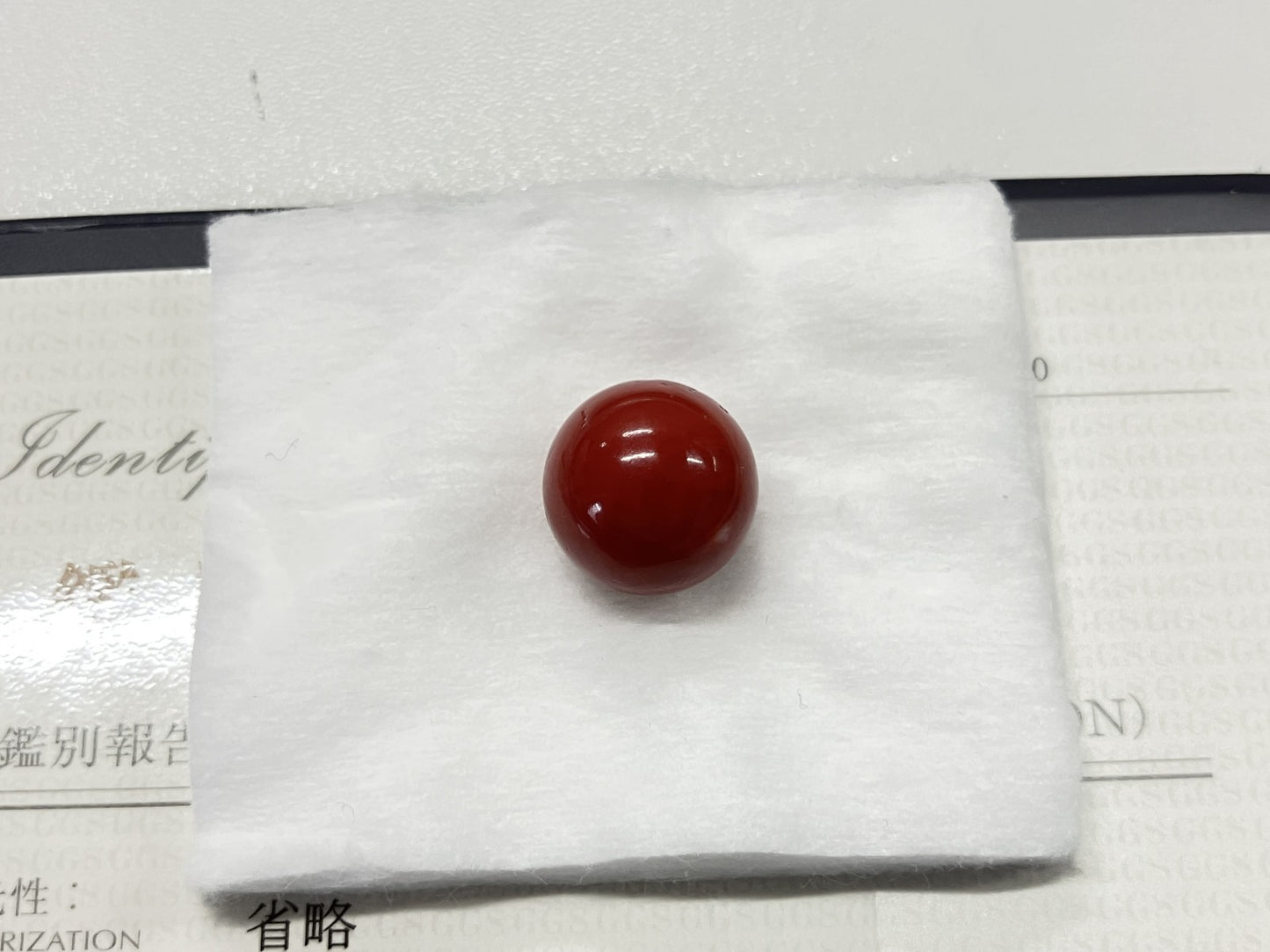 サンゴ　赤珊瑚 22.87ct 宝石鑑別書付き 14.8-14.9㎜ ルース（ 裸石 ） 4470S