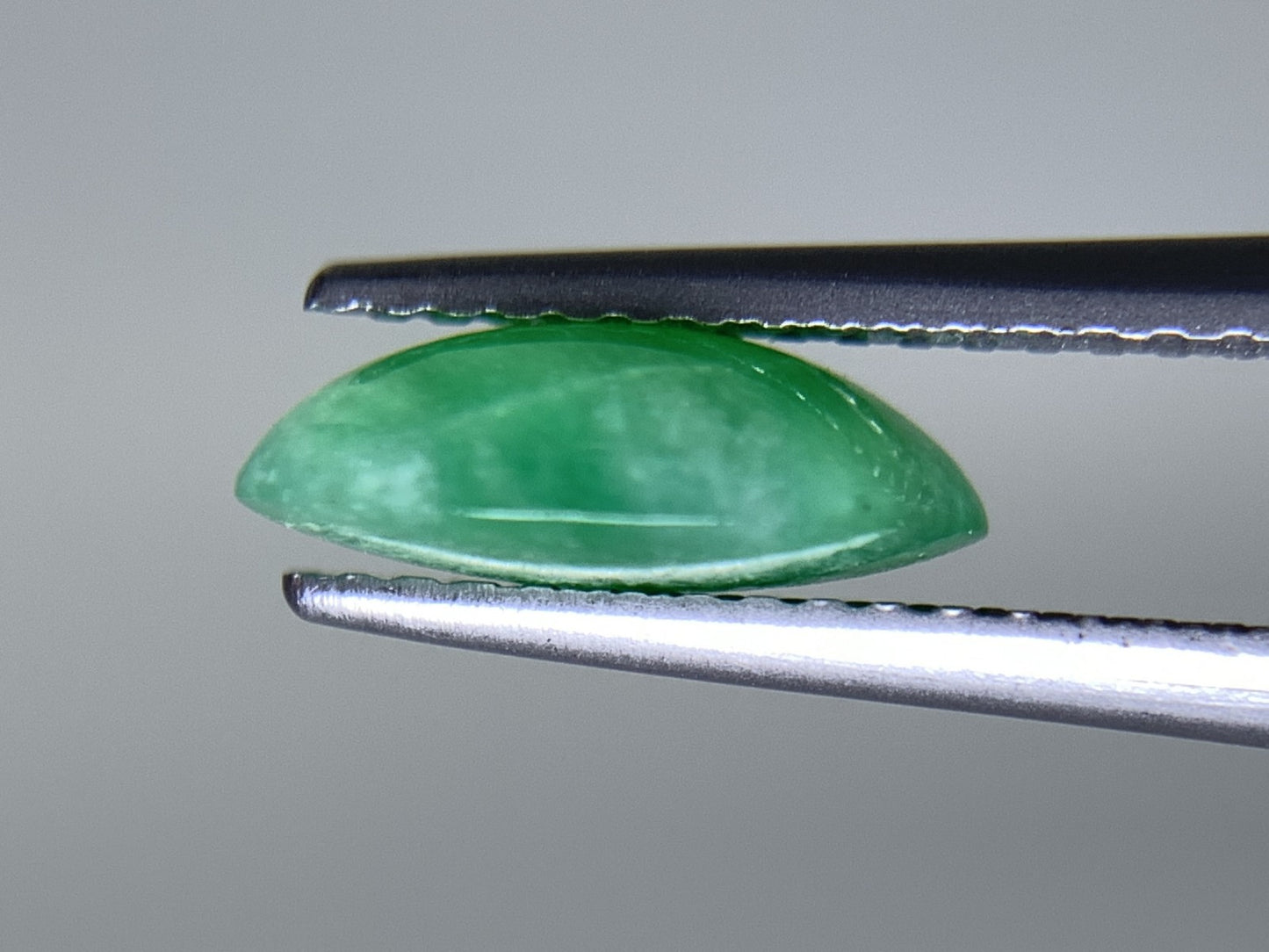 ヒスイ 翡翠  天然  2.257ct   宝石ソーティング付き  10.0㎜×7.6㎜×3.5㎜   ルース（ 裸石 ） 5579Y