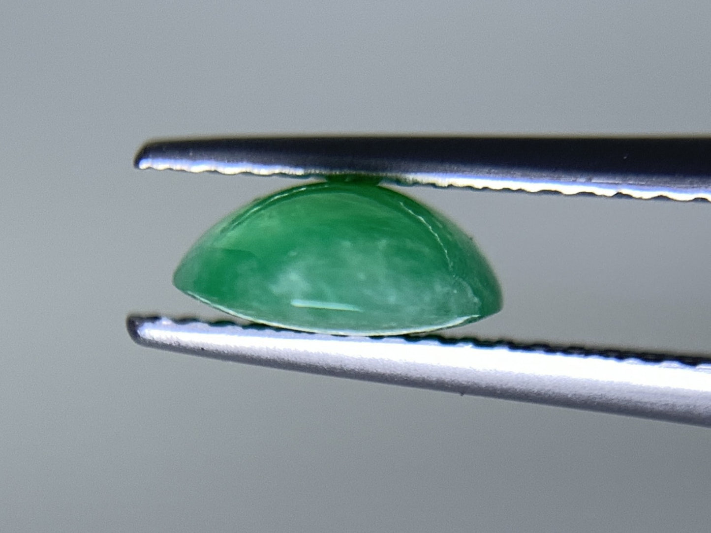 ヒスイ 翡翠  天然  2.257ct   宝石ソーティング付き  10.0㎜×7.6㎜×3.5㎜   ルース（ 裸石 ） 5579Y