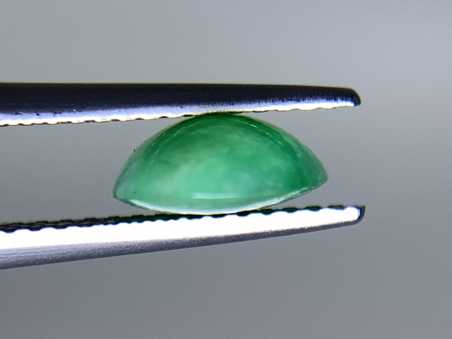 ヒスイ 翡翠  天然  2.257ct   宝石ソーティング付き  10.0㎜×7.6㎜×3.5㎜   ルース（ 裸石 ） 5579Y