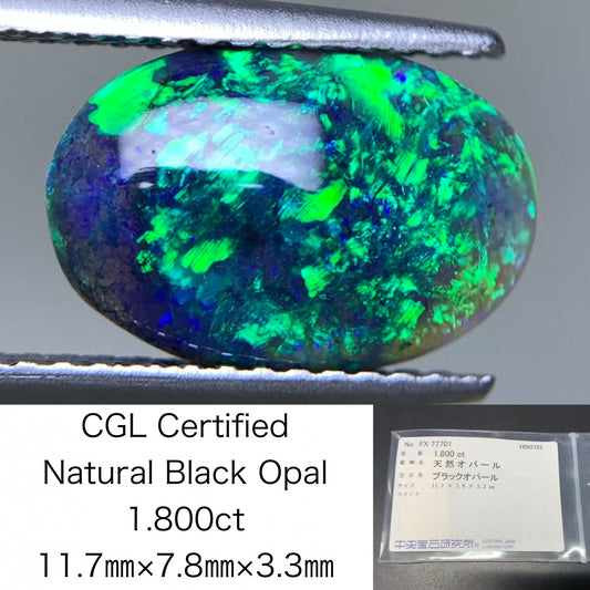 ブラックオパール 天然 1.800ct 中央宝石ソーティング付き 11.7㎜×7.8㎜×3.3㎜ ルース（ 裸石 ） 6639Y